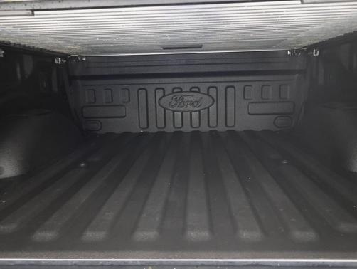 Magnetic Metallic 2019 Ford F-150 Raptor