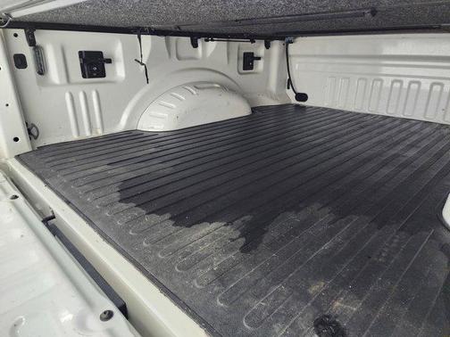 2021 Ford F-250 Platinum