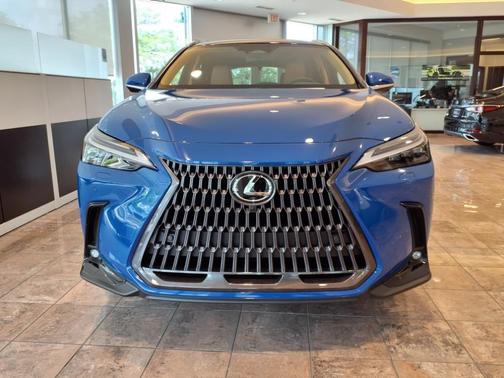 2025 Lexus NX 350 Luxury