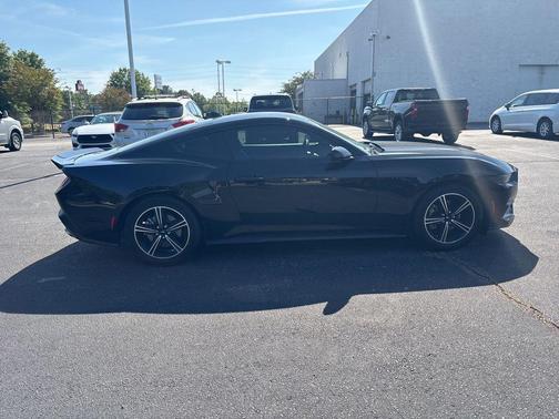 Shadow Black 2025 Ford Mustang EcoBoost