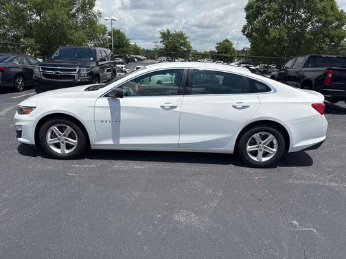 Summit White 2019 Chevrolet Malibu 1LS
