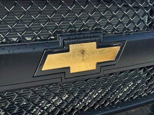 2025 Chevrolet Express 3500 LS