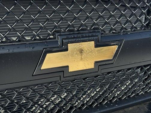 2025 Chevrolet Express 3500 LS