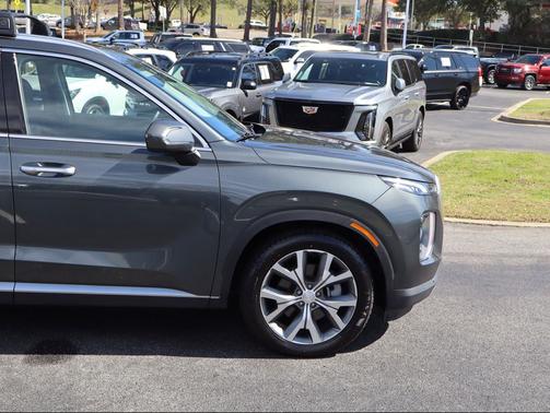 Rainforest 2022 Hyundai PALISADE SEL