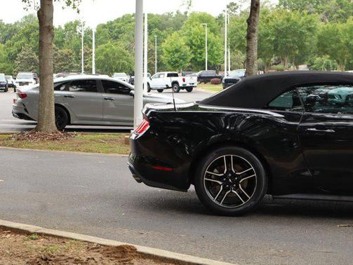 SHADOW BLACK 2020 Ford Mustang EcoBoost Premium