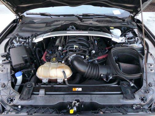 2019 Ford Shelby GT350 Base