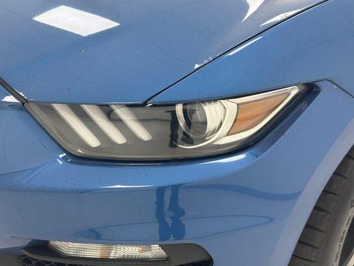 Blue Metallic 2019 Ford Shelby GT350 Base