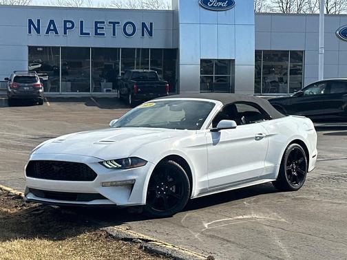 2019 Ford Mustang EcoBoost
