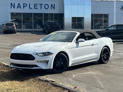 2019 Ford Mustang EcoBoost