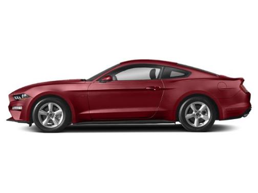 Ruby Red Metallic Tinted Clearcoat 2019 Ford Mustang EcoBoost