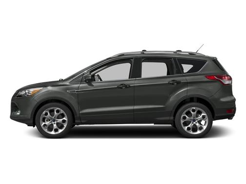 Magnetic 2016 Ford Escape Titanium