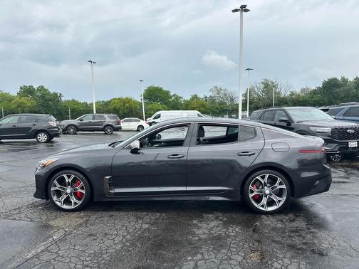 Panthera Metal 2020 Kia Stinger GT