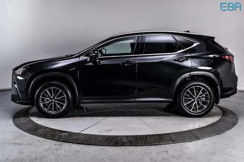 2025 Lexus NX 350h Premium