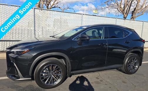 2025 Lexus NX 350h Premium