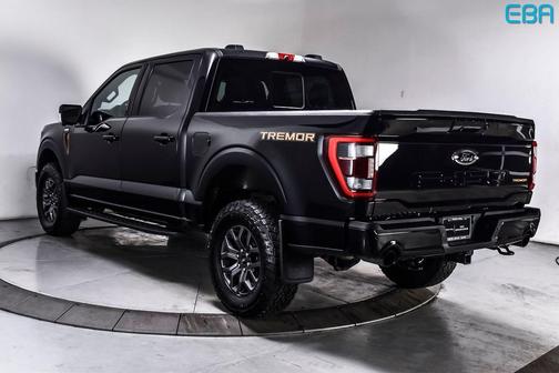 Agate Black Metallic 2022 Ford F-150 Tremor