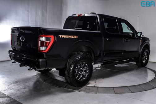 Agate Black Metallic 2022 Ford F-150 Tremor