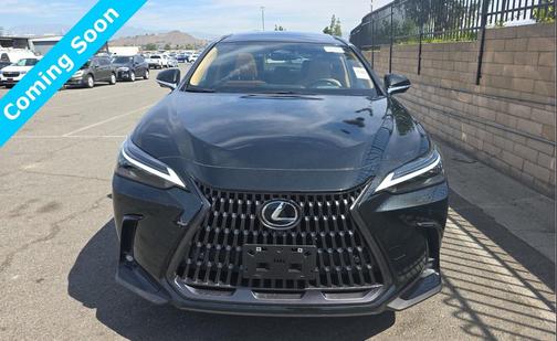 2025 Lexus NX 450h+ Luxury