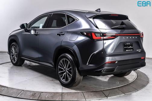 Cloudburst Gray 2025 Lexus NX 350h Premium