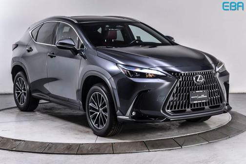 Cloudburst Gray 2025 Lexus NX 350h Premium