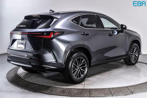 Cloudburst Gray 2025 Lexus NX 350h Premium