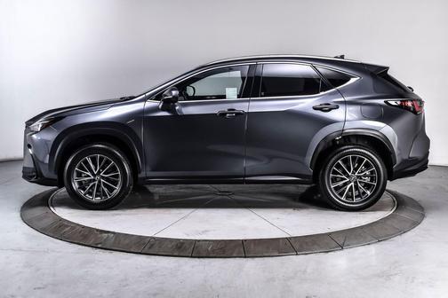 Cloudburst Gray 2025 Lexus NX 350h Premium