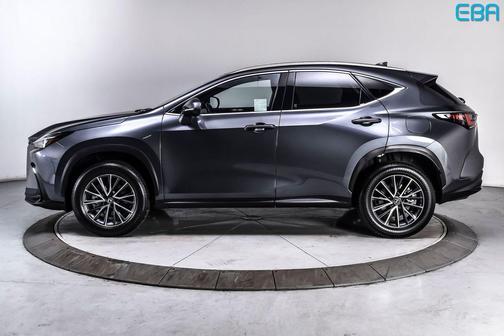 Cloudburst Gray 2025 Lexus NX 350h Premium