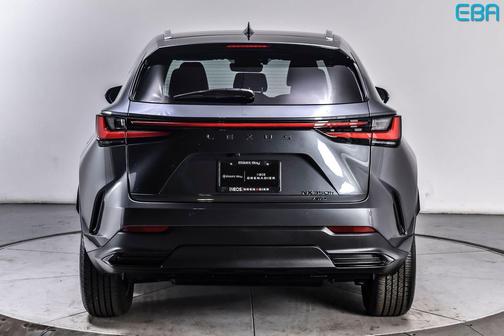 Cloudburst Gray 2025 Lexus NX 350h Premium