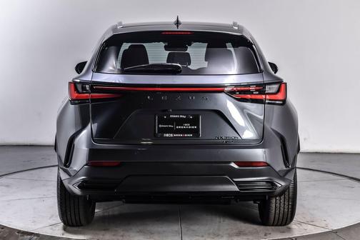 Cloudburst Gray 2025 Lexus NX 350h Premium