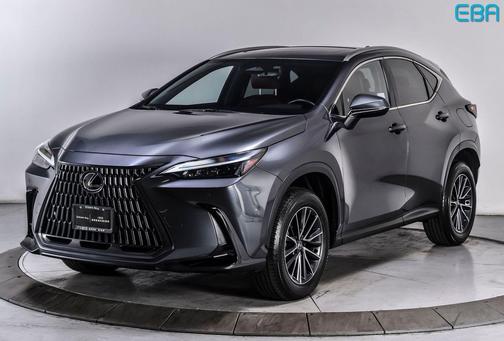 Cloudburst Gray 2025 Lexus NX 350h Premium