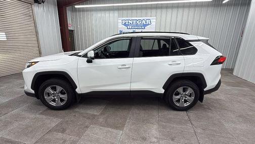 Ice Cap 2025 Toyota RAV4 XLE