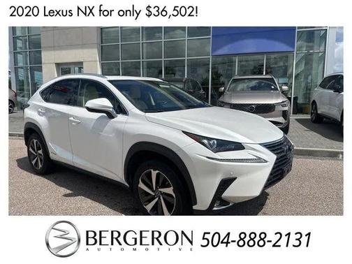2020 Lexus NX 300h Base