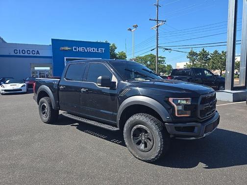 Shadow Black 2017 Ford F-150 Raptor