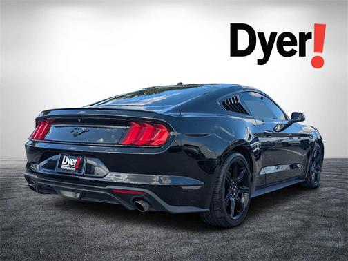 2019 Ford Mustang EcoBoost