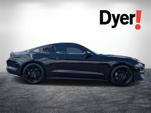 2019 Ford Mustang EcoBoost