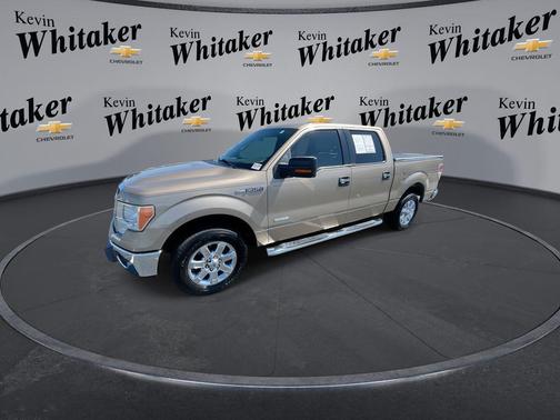Pale Adobe Metallic 2013 Ford F-150 XLT