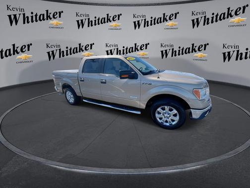 Pale Adobe Metallic 2013 Ford F-150 XLT