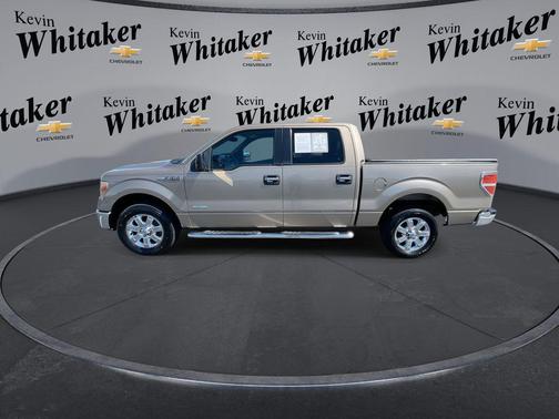 Pale Adobe Metallic 2013 Ford F-150 XLT
