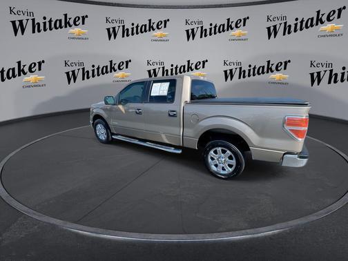 Pale Adobe Metallic 2013 Ford F-150 XLT