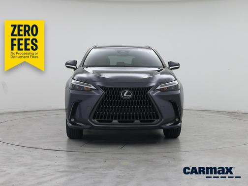 Gray 2023 Lexus NX 250