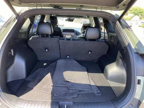 Jungle Green 2024 Kia Sportage X-Line