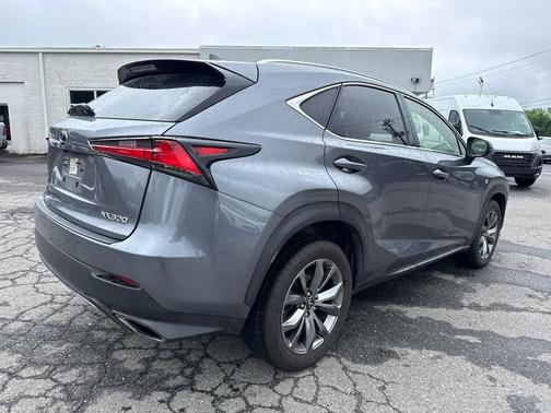 Nebula Gray Pearl 2020 Lexus NX 300 F Sport