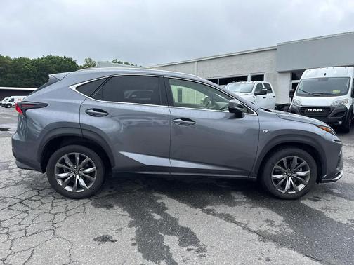 Nebula Gray Pearl 2020 Lexus NX 300 F Sport