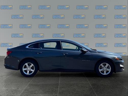 2020 Chevrolet Malibu 1LS