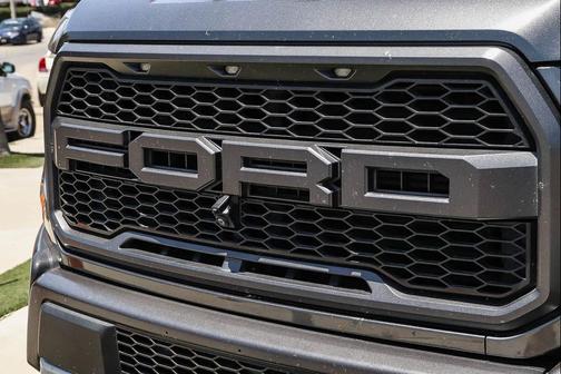 Magnetic Metallic 2019 Ford F-150 Raptor