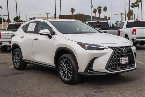 2025 Lexus NX 250 Premium