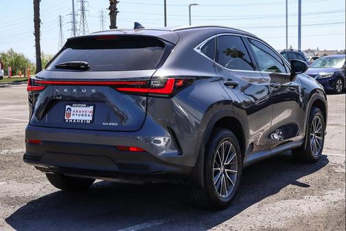 Cloudburst Gray 2024 Lexus NX 250 Premium