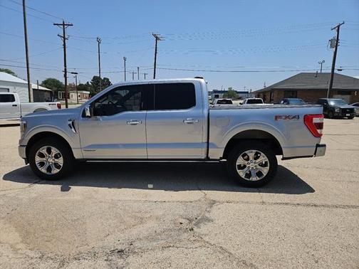 2021 Ford F-150 Platinum