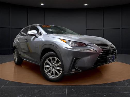 Nebula Gray Pearl 2020 Lexus NX 300 Base