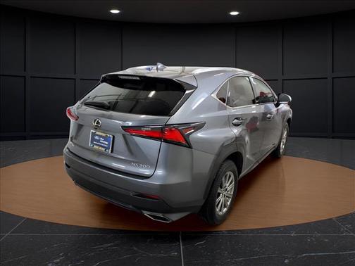 Nebula Gray Pearl 2020 Lexus NX 300 Base