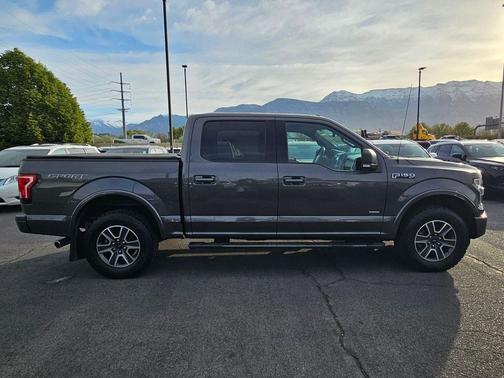 Magnetic 2016 Ford F-150 XLT